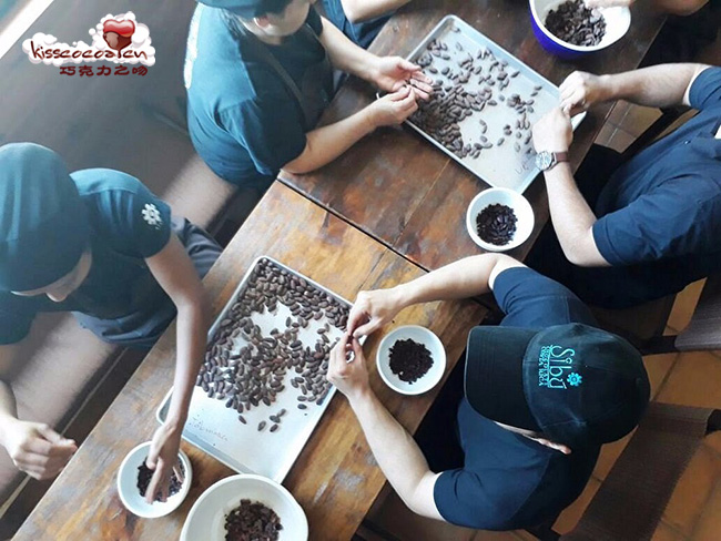 哥斯达黎加 Sibo 西布巧克力 哥斯达黎加 Sibo 西布巧克力48